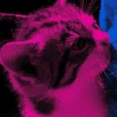 meowblurghh's profile picture