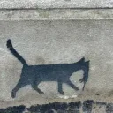 Manul's profile picture