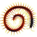 dpkpeogkepk's profile picture