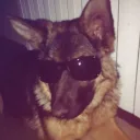 𝕰𝖗𝖔𝖘_𝖐𝖎𝖑𝖑𝖘𝖍𝖔𝖙ᯓ★ˎˊ˗'s profile picture
