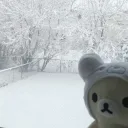 rabbit.1982659's profile picture