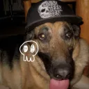 ghosting/xiv's profile picture