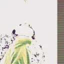 cherry's profile picture
