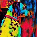 yayo1102's profile picture