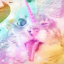 meowblurghh's profile picture