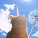 glitterizme's profile picture