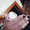 nowebs's profile picture