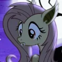 meowblurghh's profile picture