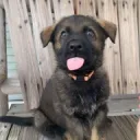 asher510's profile picture