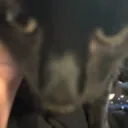 Bubbins's profile picture