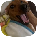 Venixz's profile picture