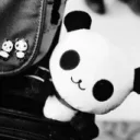 panduh's profile picture