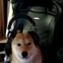 ---- temporal's profile picture