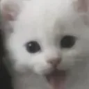 Ellaissowhimsy's profile picture