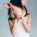 GenusBombus's profile picture