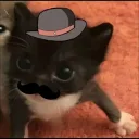 nxys's profile picture