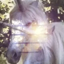 yourstruly's profile picture