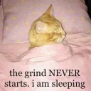 ᴅᴇɪ͙ᴇ