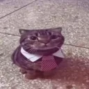kittlaww's profile picture