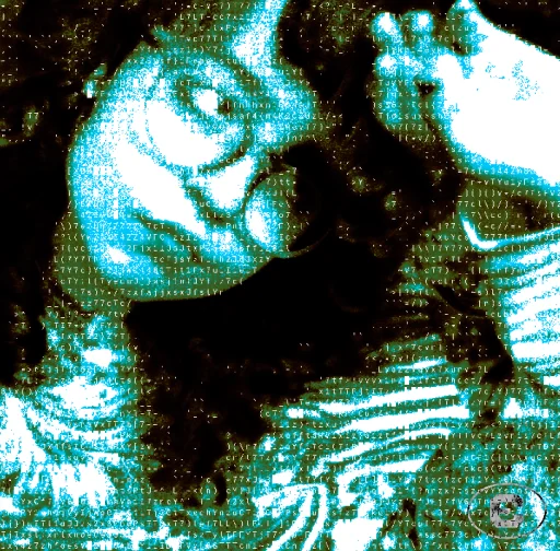 user pfp