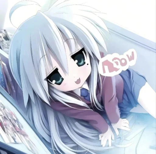 user pfp