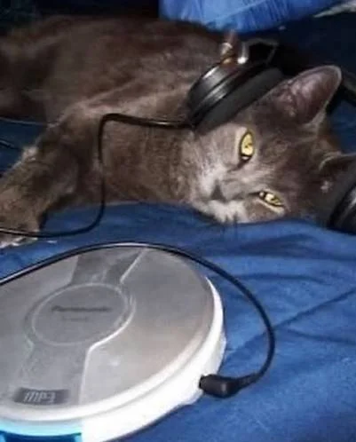 xCorvid_Caninezx's profile picture