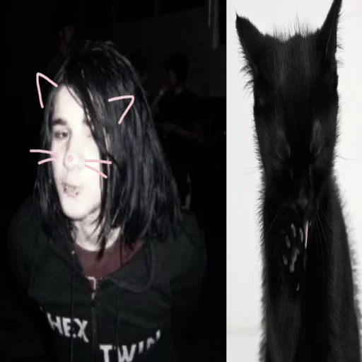 user pfp