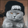user pfp