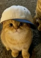 ur.goat.al3x's profile picture