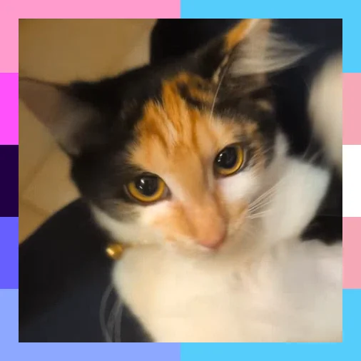 dawn <3's profile picture