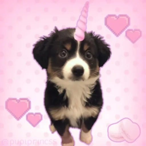 deck_of_kills's profile picture