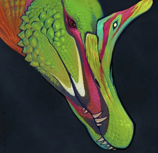 user pfp