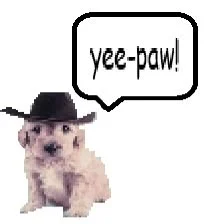 texas!!'s profile picture