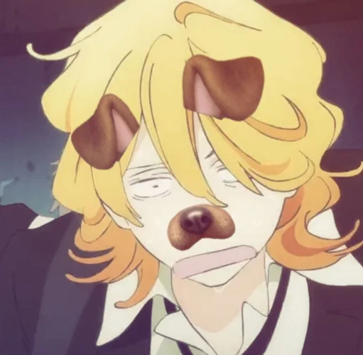 user pfp