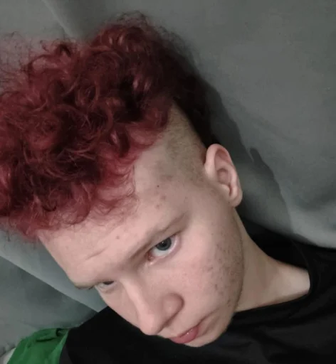 Drymek