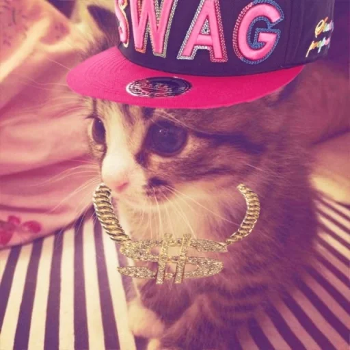 user pfp