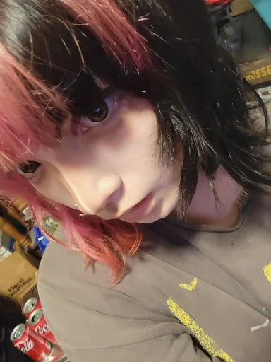 Rosenvamps's profile picture