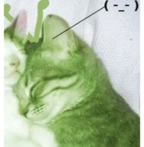 marlowe⦻'s profile picture