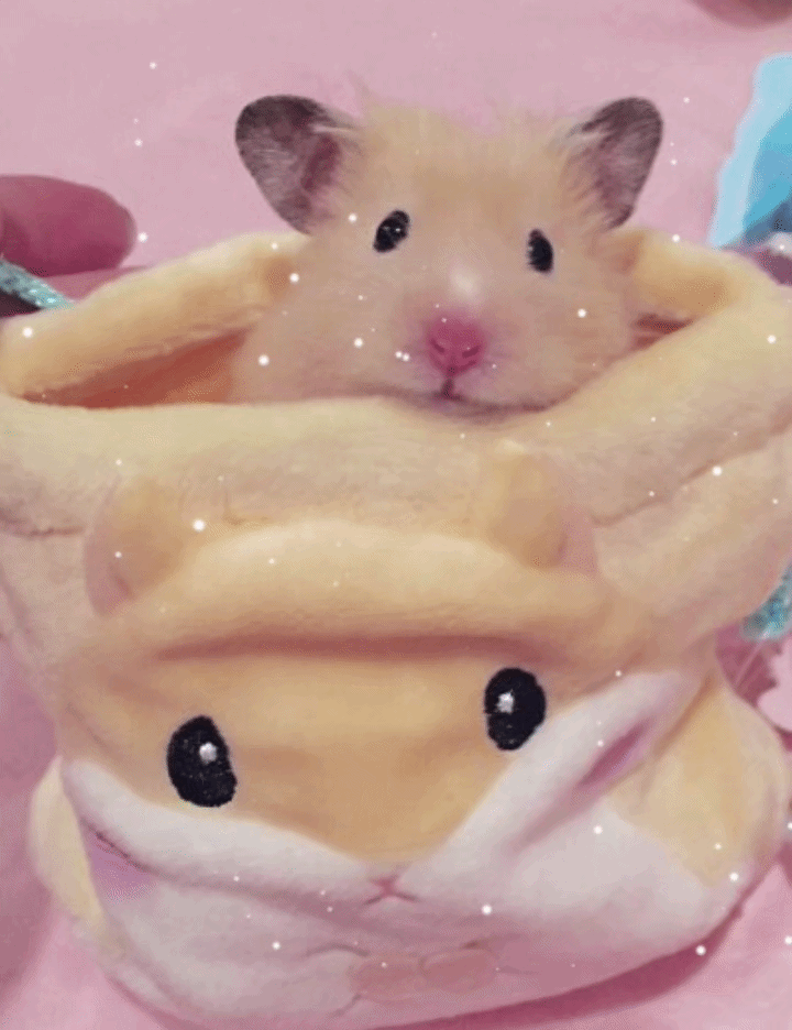Hattiecat 🐹's profile picture