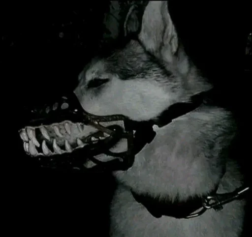 Elliot :3's profile picture