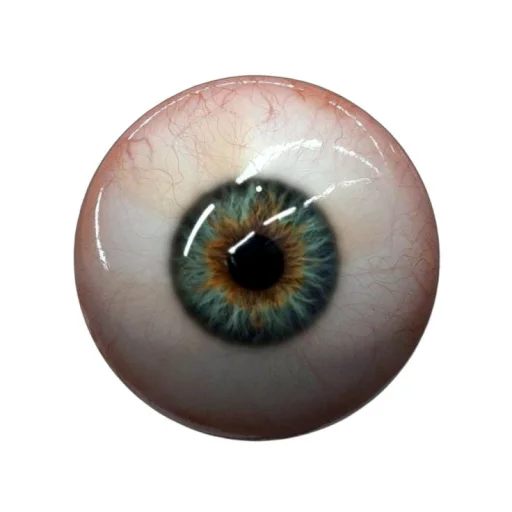 ConcertZombie's profile picture