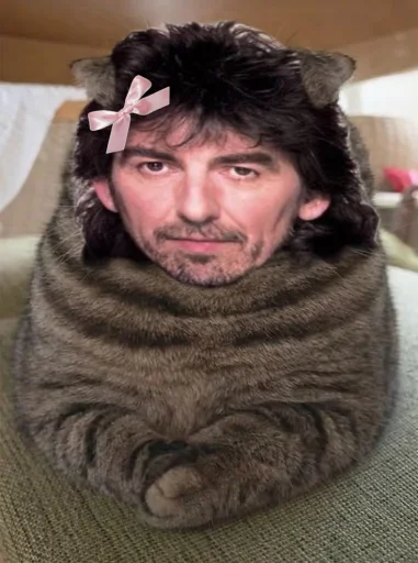Mia or MIllo's profile picture