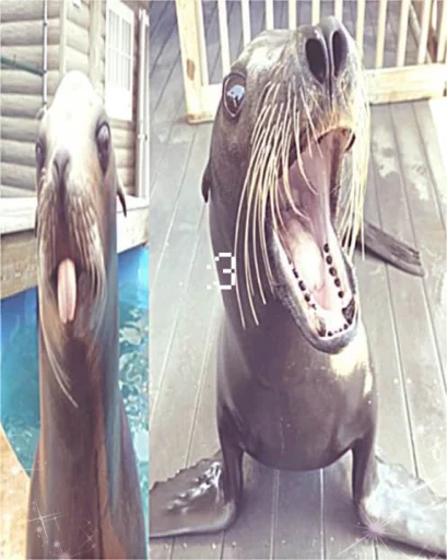 mariii's profile picture