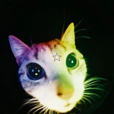 user pfp