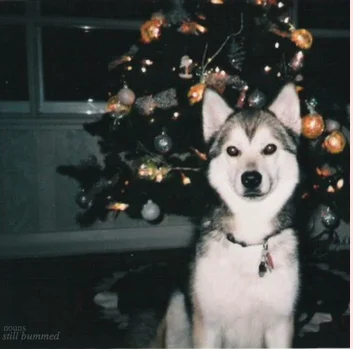 soupbeing's profile picture