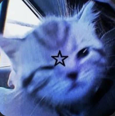 user pfp