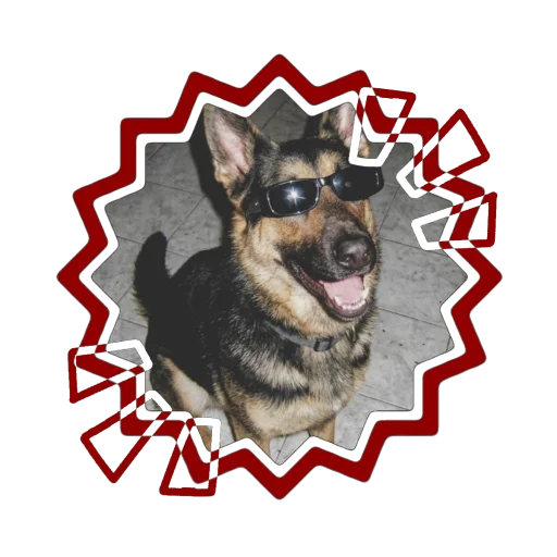 user pfp