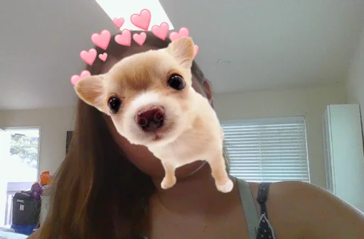 user pfp