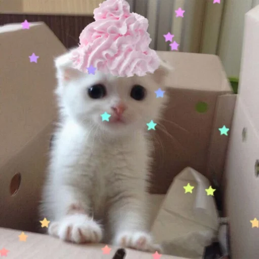 user pfp
