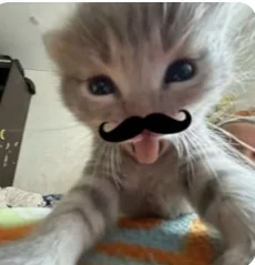 {kit-kat}xD